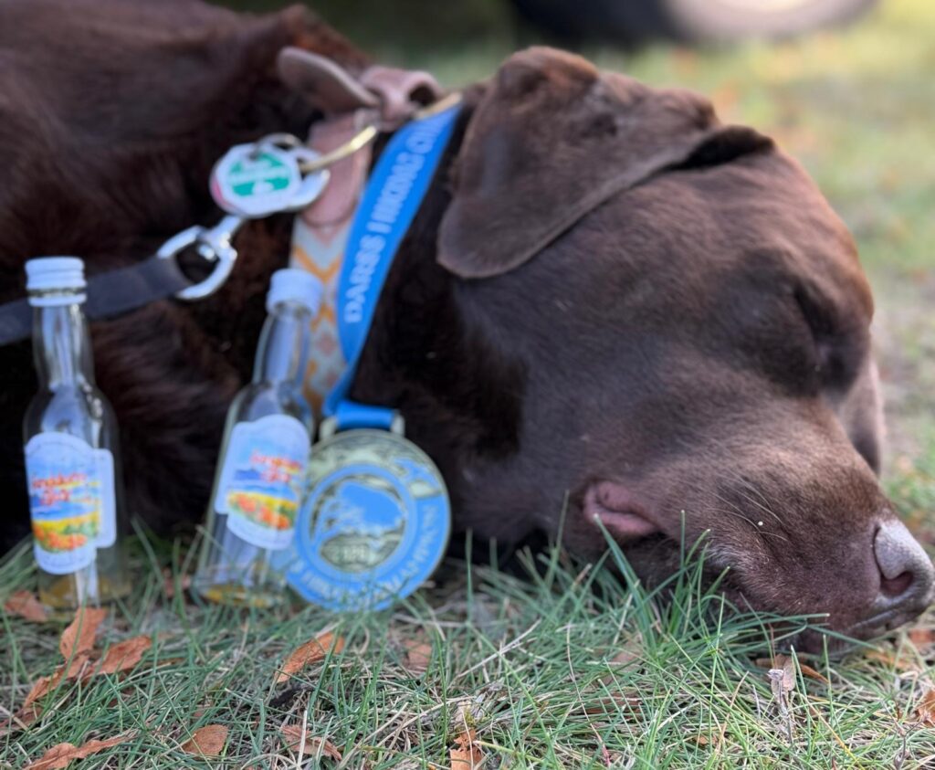 Foto von Annett Boettcher bei der Darß Hiking Challenge