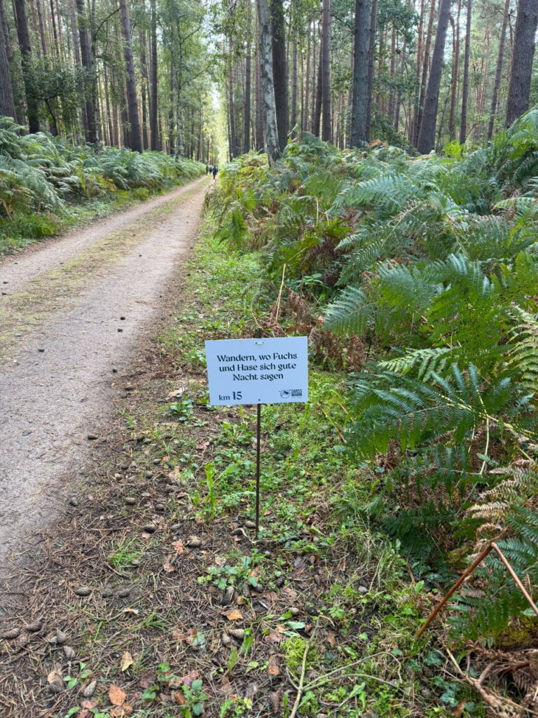Foto von Roswitha Schröder bei der Darß Hiking Challenge